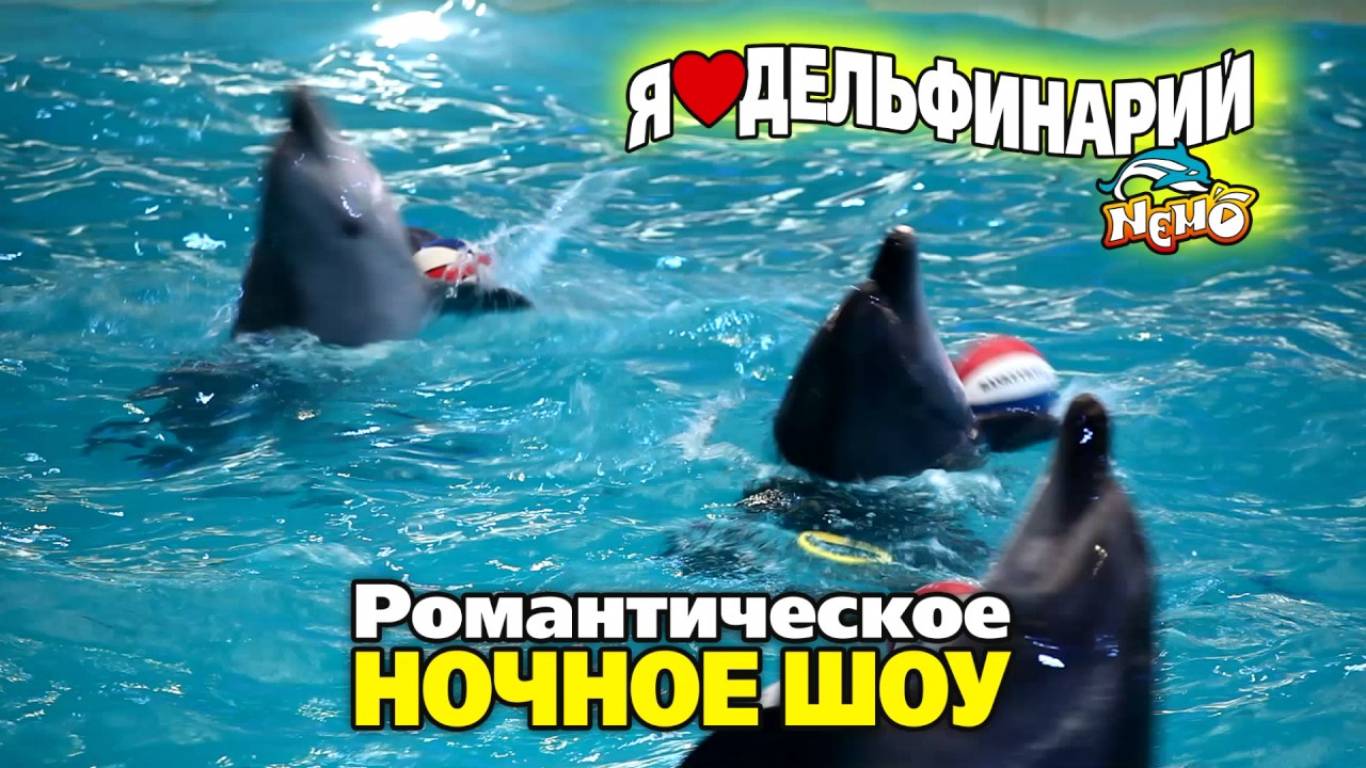 Романтическое ночное шоу «Love»