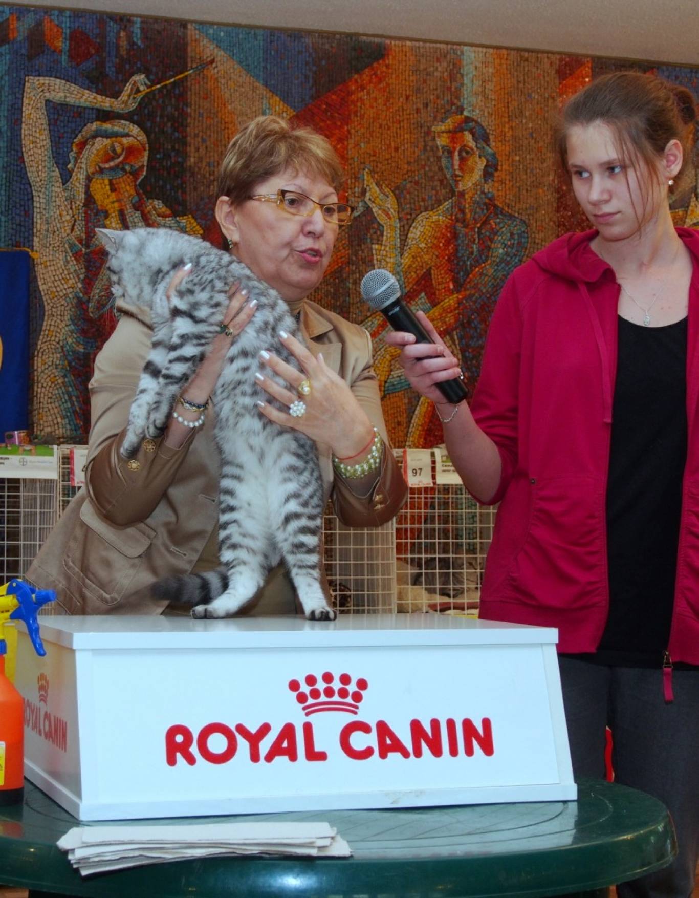 Міжнародна виставка котів "Барви Осені"