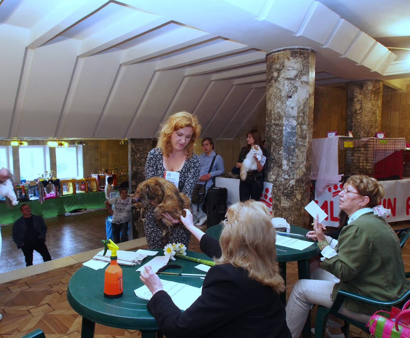 Міжнародна виставка котів "Барви Осені"