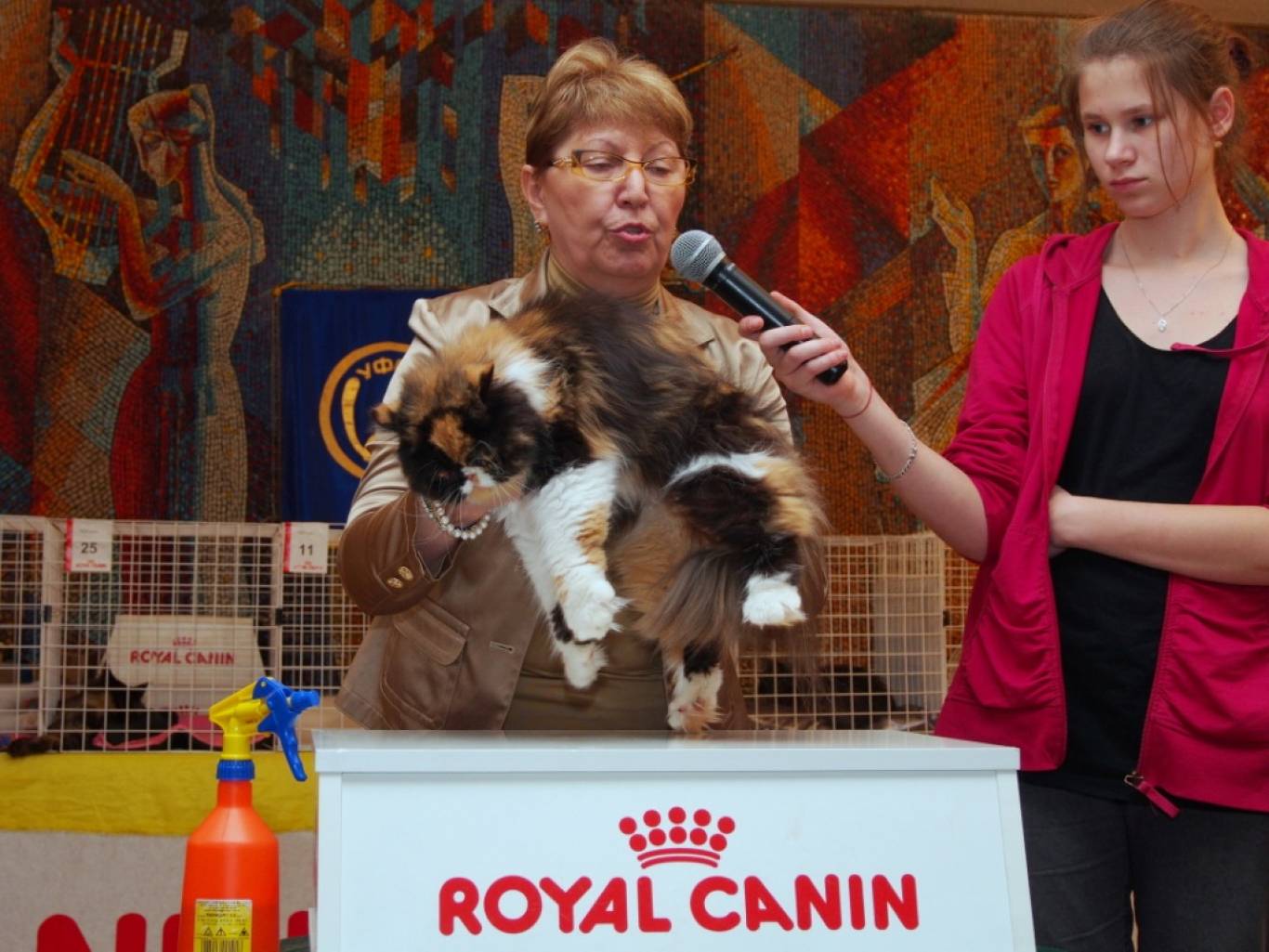 Міжнародна виставка котів "Барви Осені"