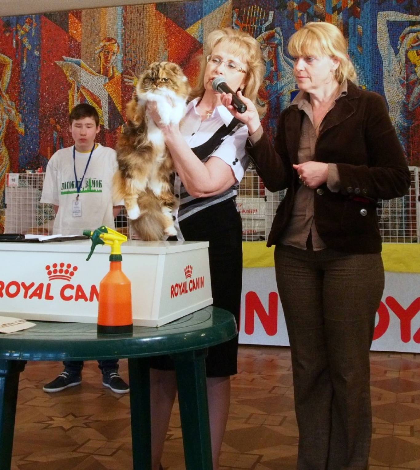 Міжнародна виставка котів "Барви Осені"