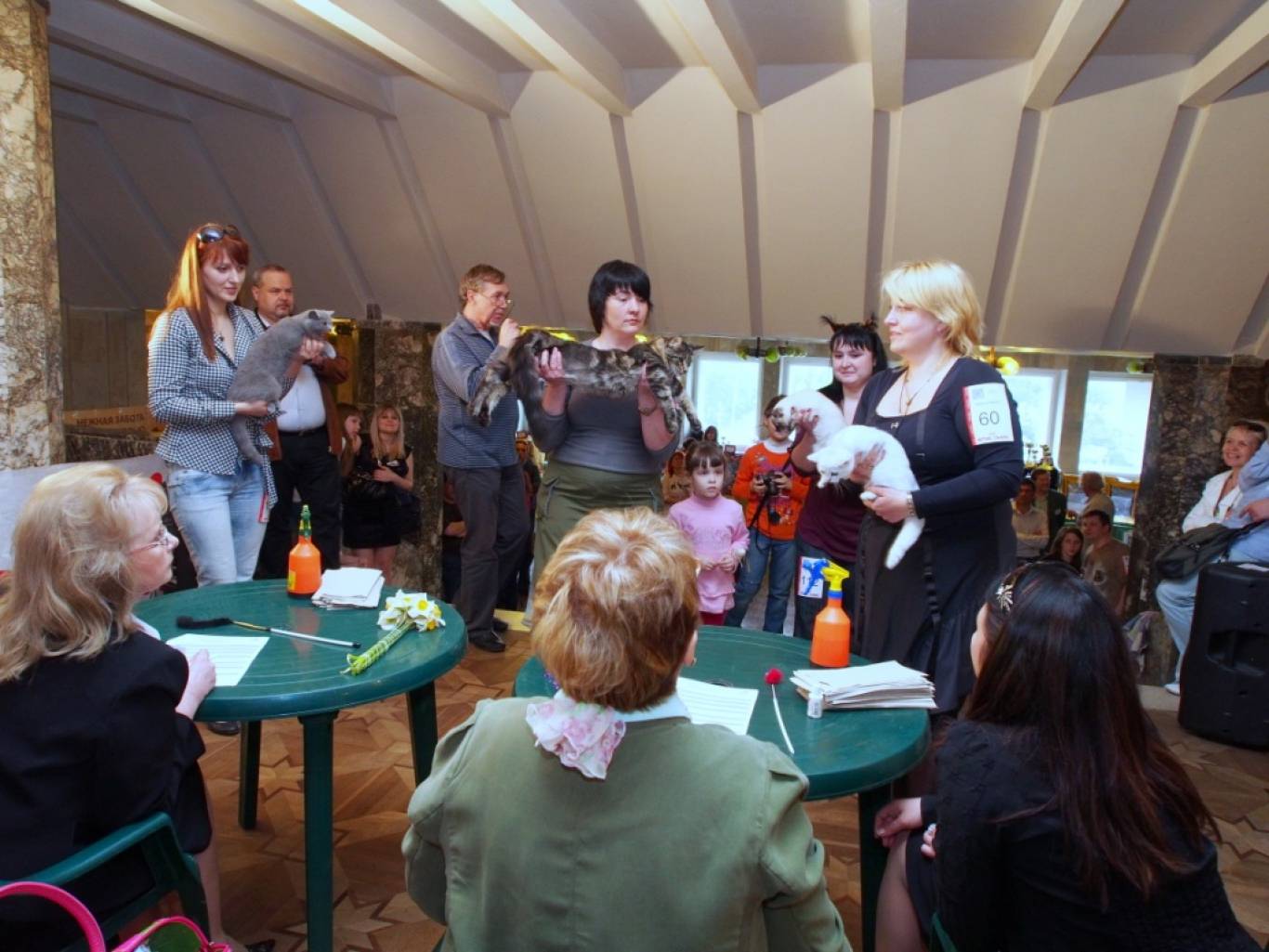 Міжнародна виставка котів "Барви Осені"