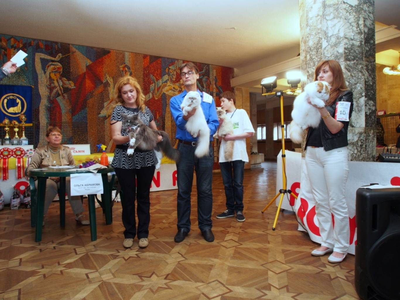 Міжнародна виставка котів "Барви Осені"