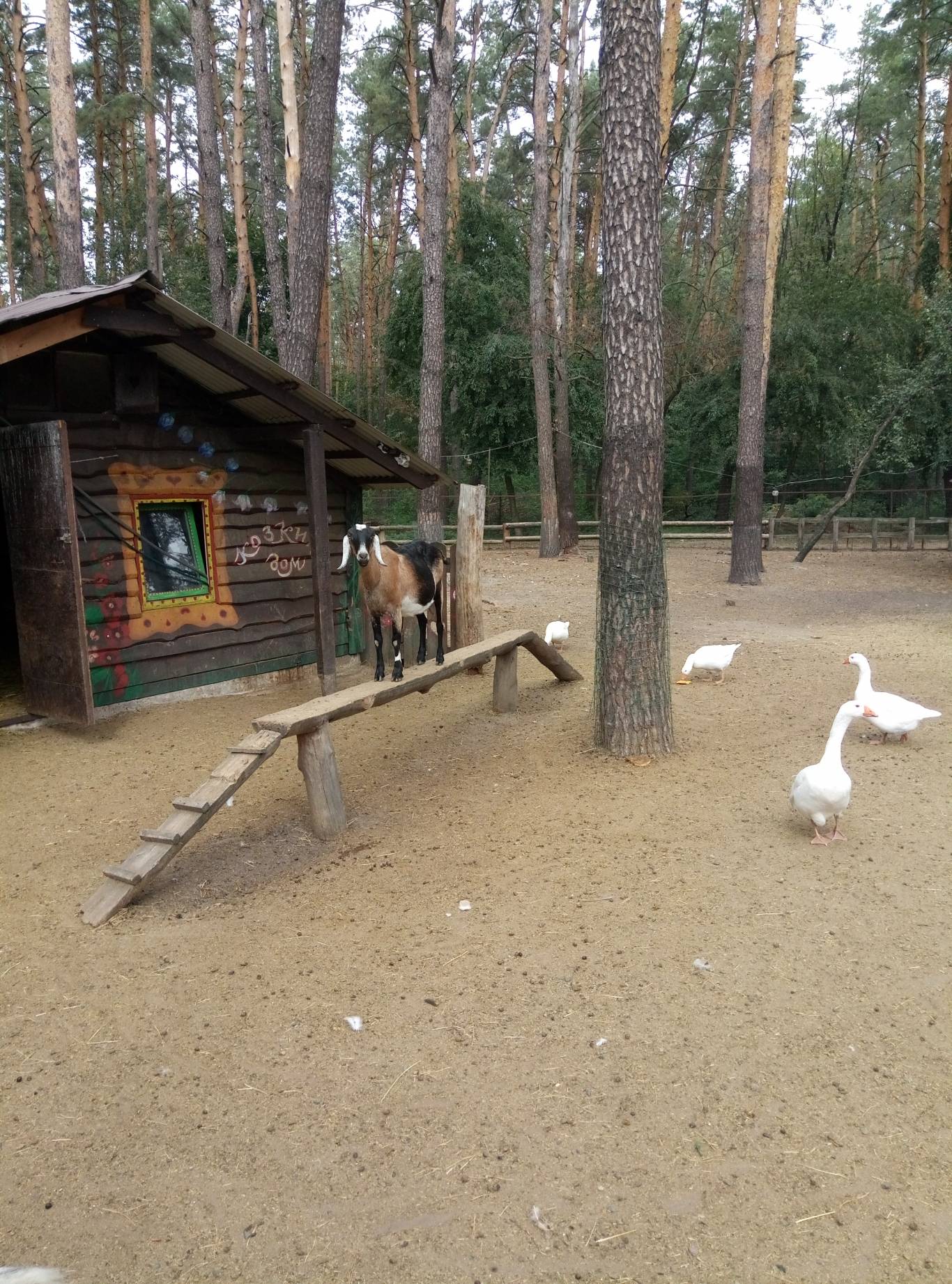 Маленький зоопарк