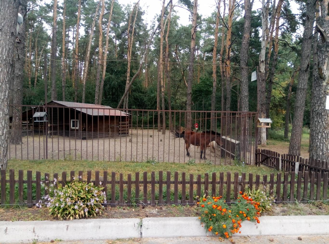 Маленький зоопарк