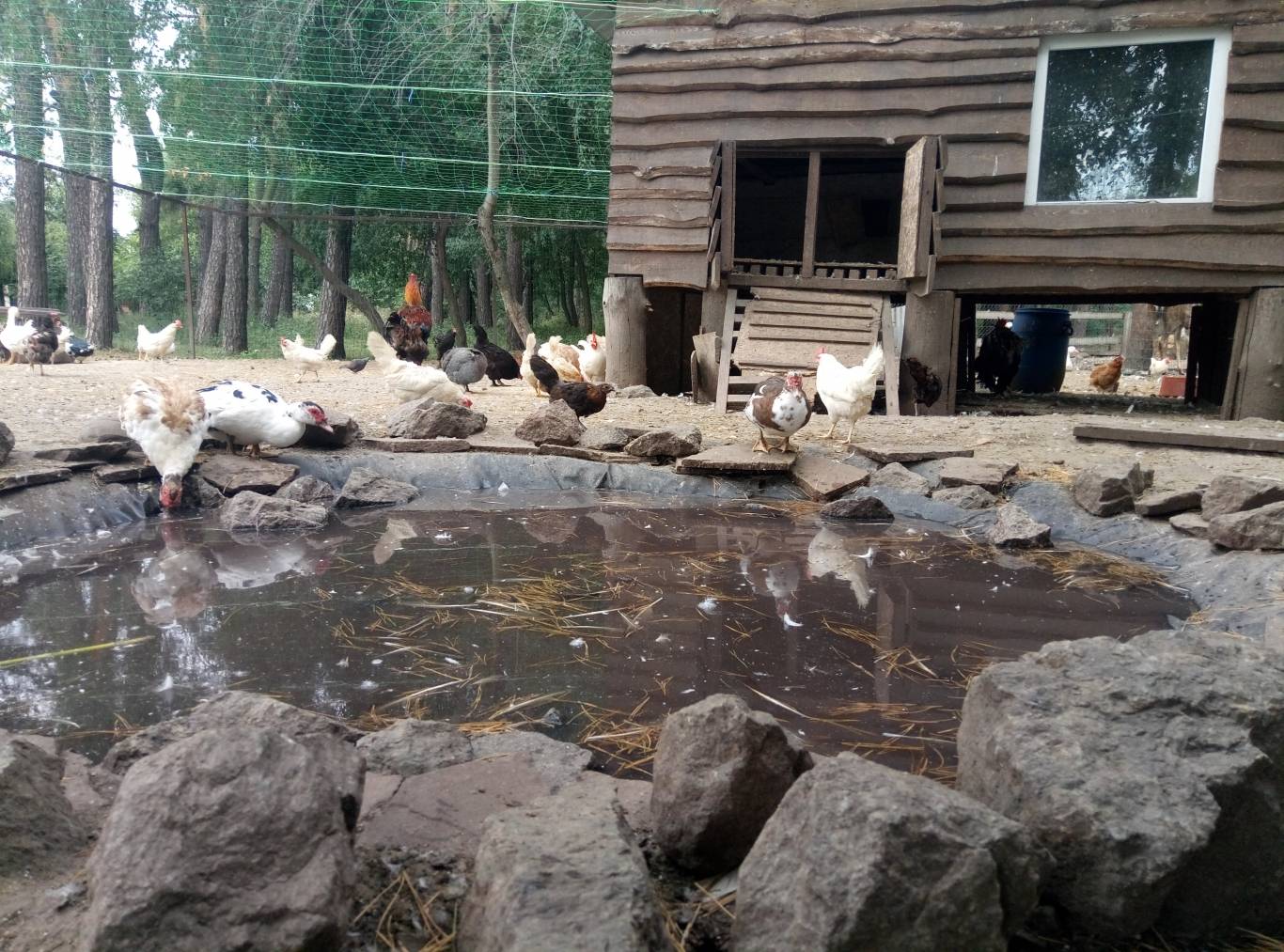 Маленький зоопарк