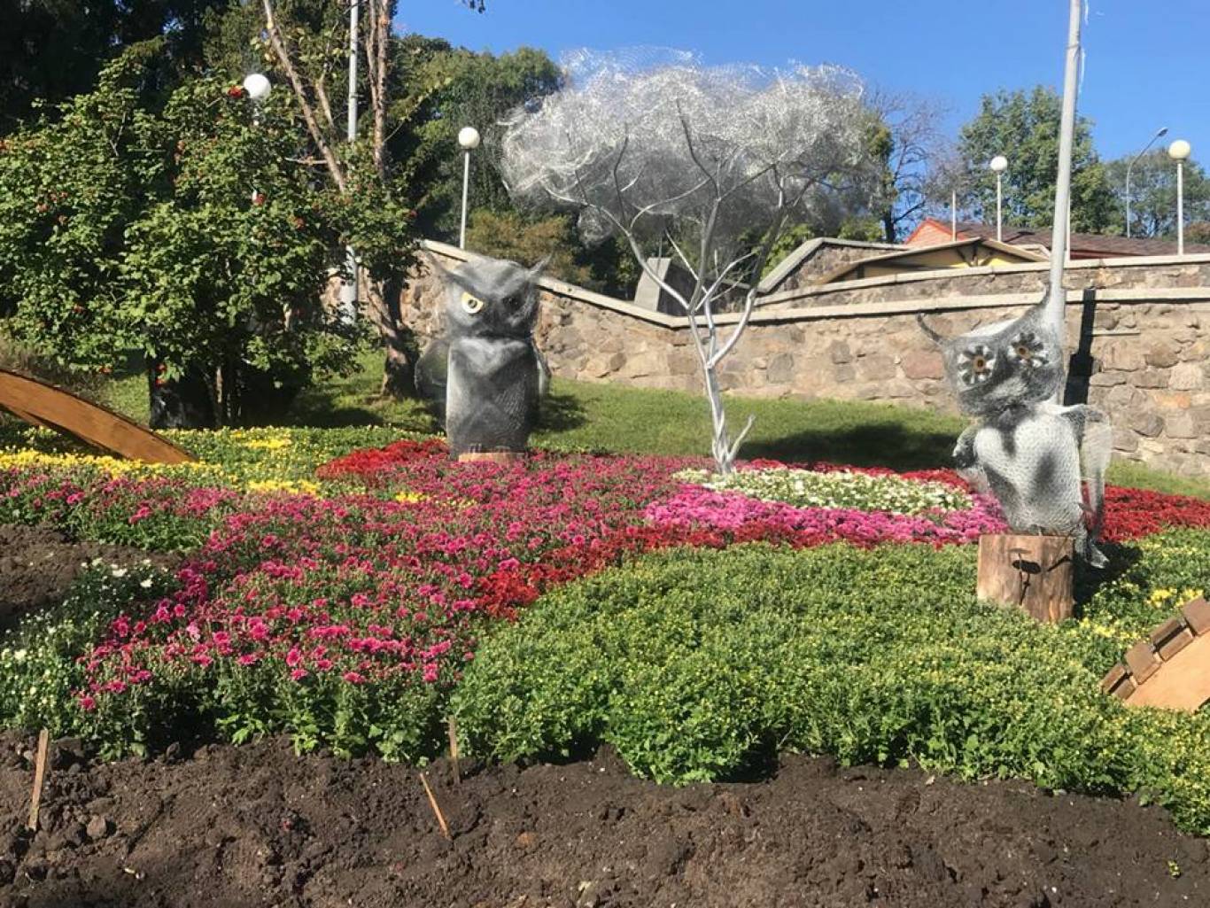 Співоче поле: Фестиваль хризантем "Фантастична історія"