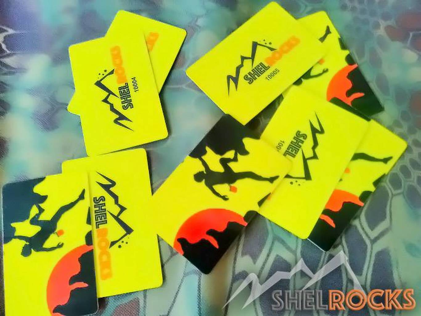 Активный отдых Скалодром ShelRocks