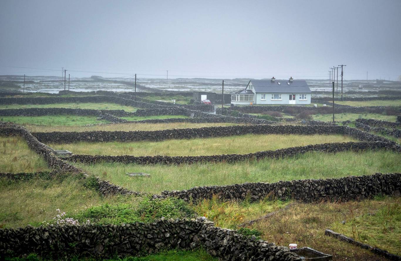 Спектакль "Калека с острова Инишмаан"