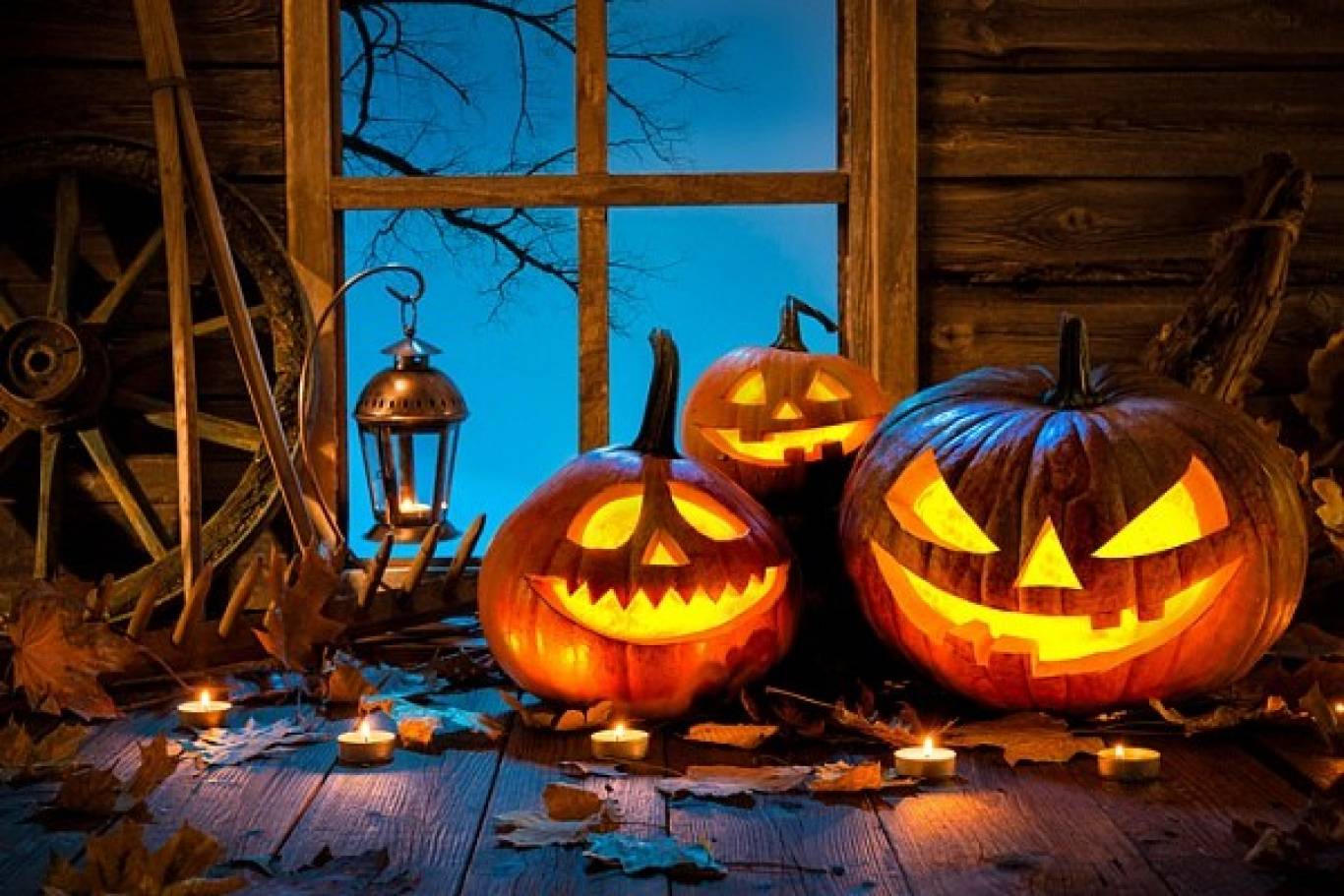 Ночная Покатушка HALLOWEEN СНАМИ