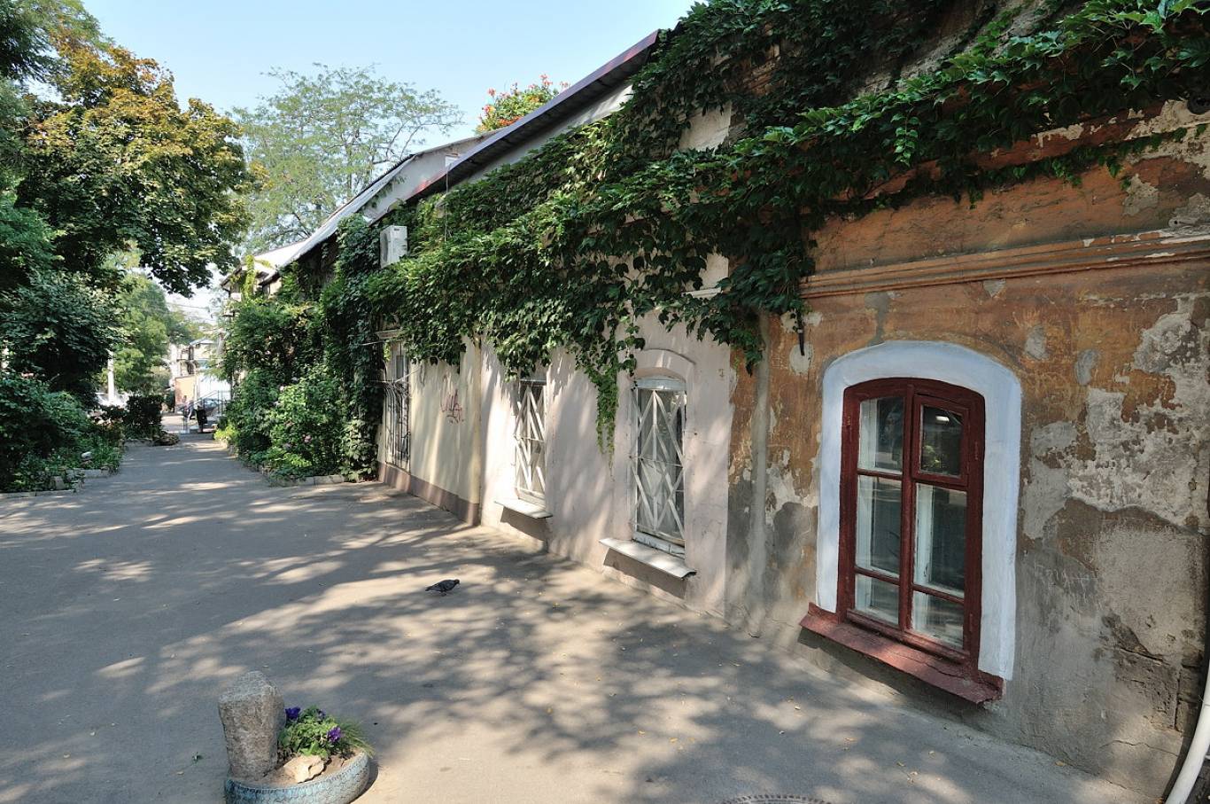 Колоритная Молдаванка с Евгением Гринкевичем