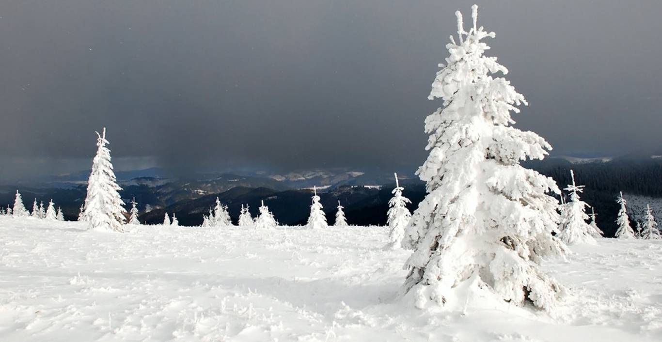 Новий 2018 рік у Закарпатті