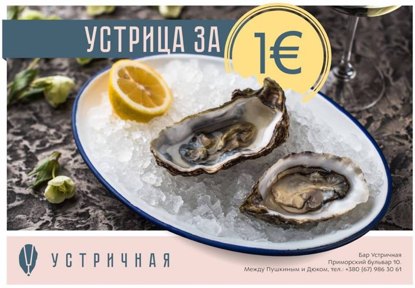 Music Nights в Устричной