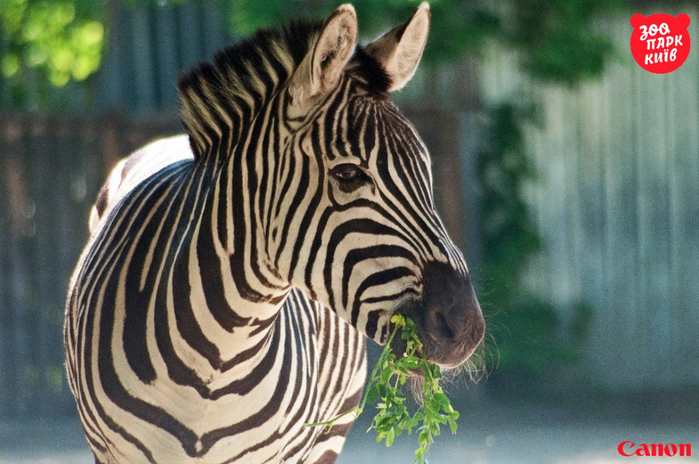 Київський зоопарк (КВИТКИ)