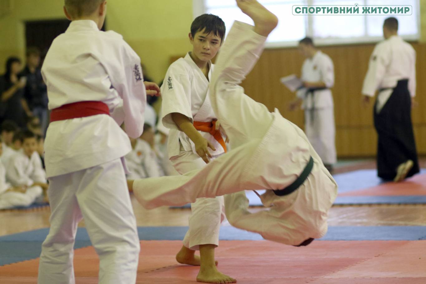 Чемпіонат України з айкідо