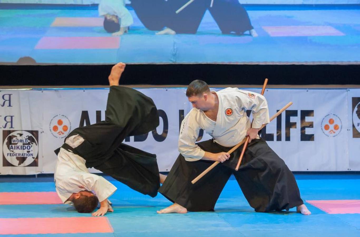 Чемпіонат України з айкідо