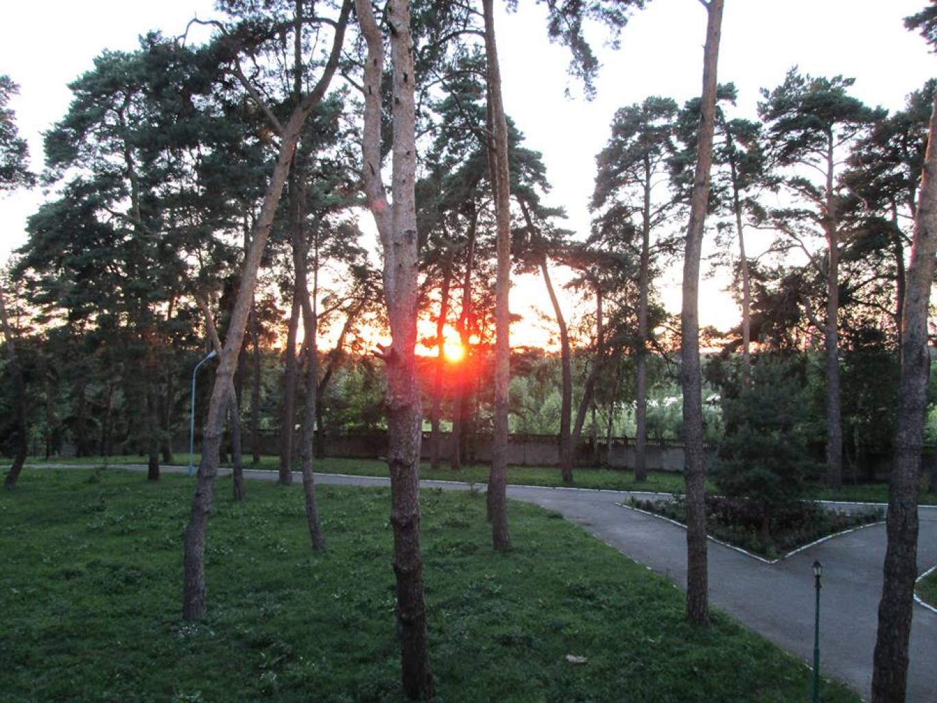 Сімейний кемп "Освітній експеримент" на Вінниччині