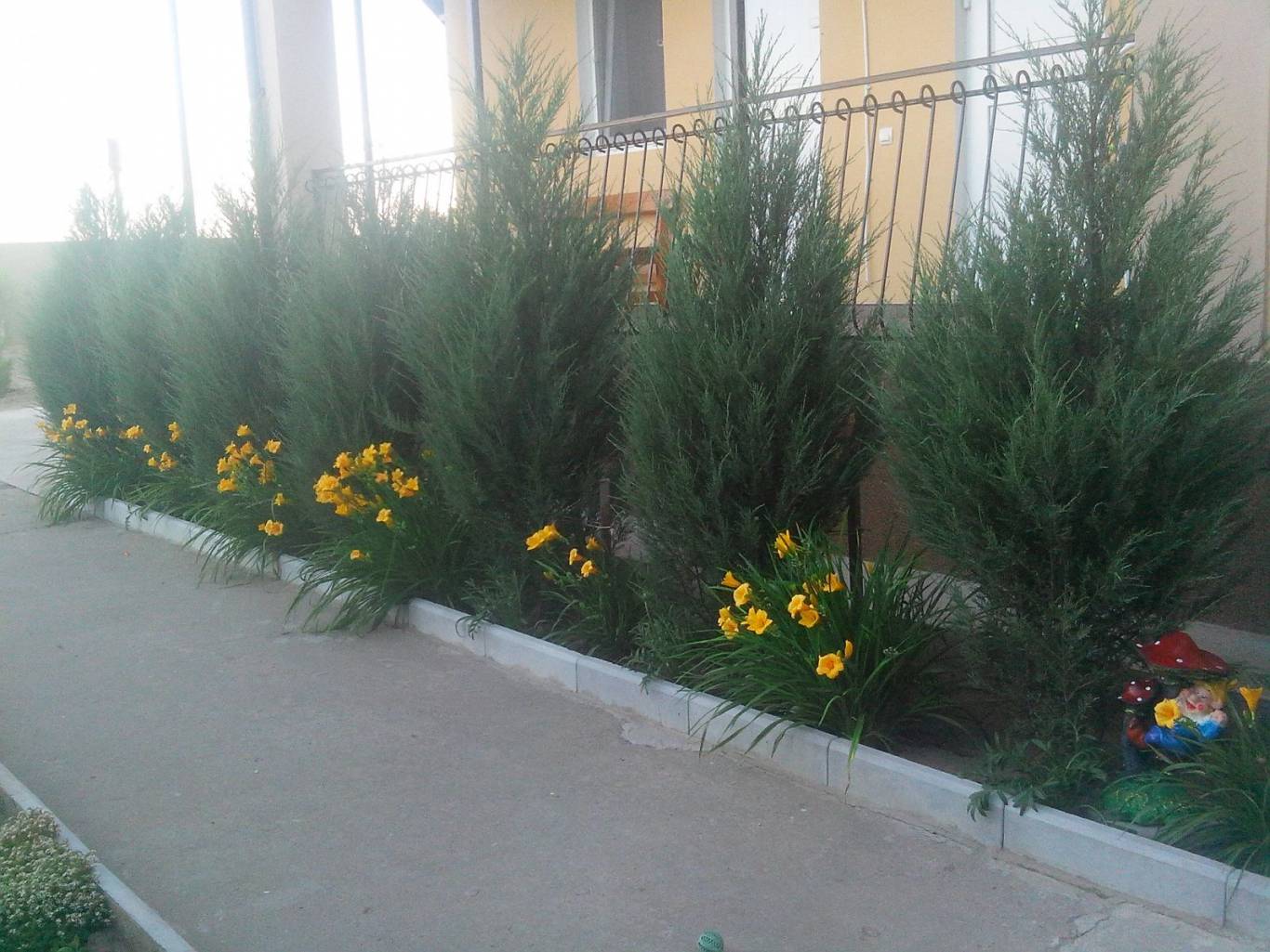 Пансіонат "Платан". Комфортний відпочинок біля моря