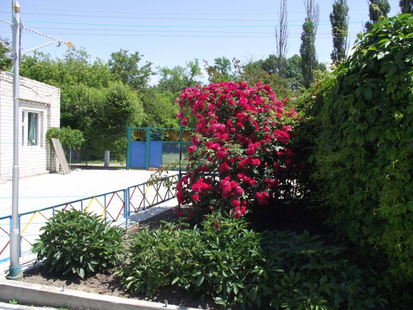 База отдыха «Янтарь»