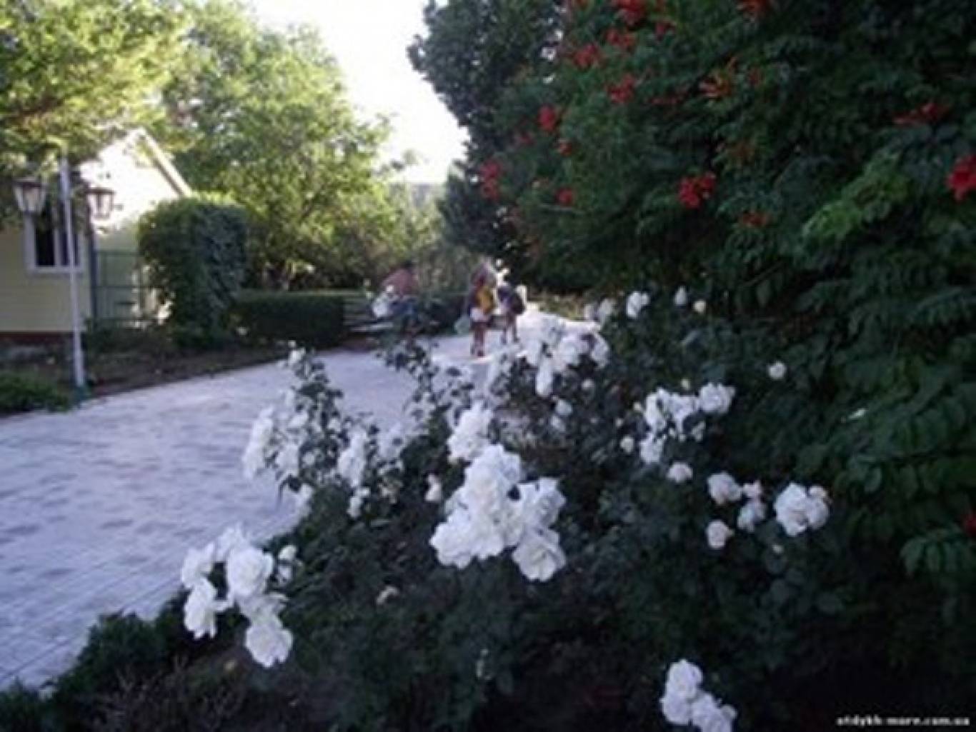 База отдыха «Янтарь»