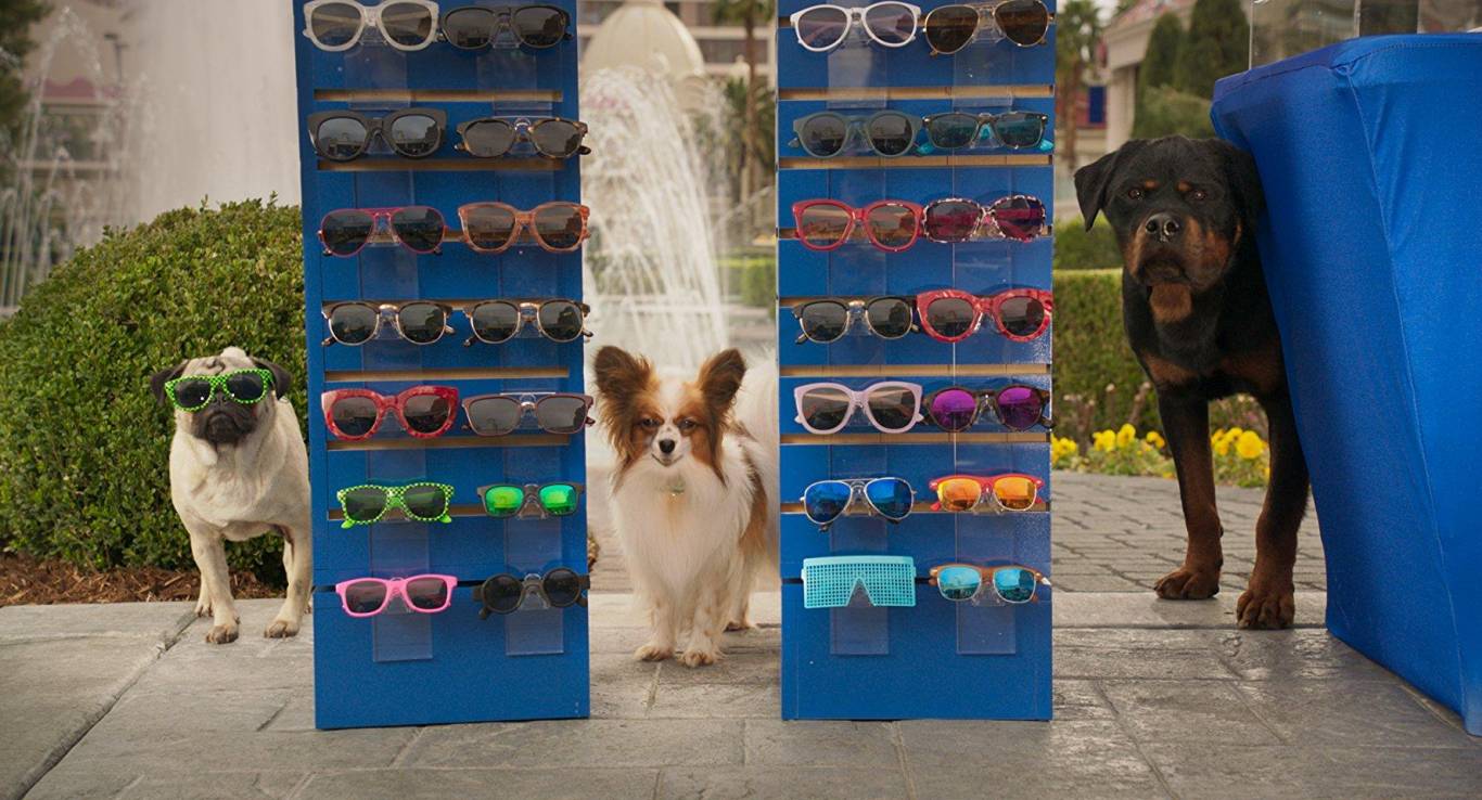 Сімейний фільм Поліцейський пес