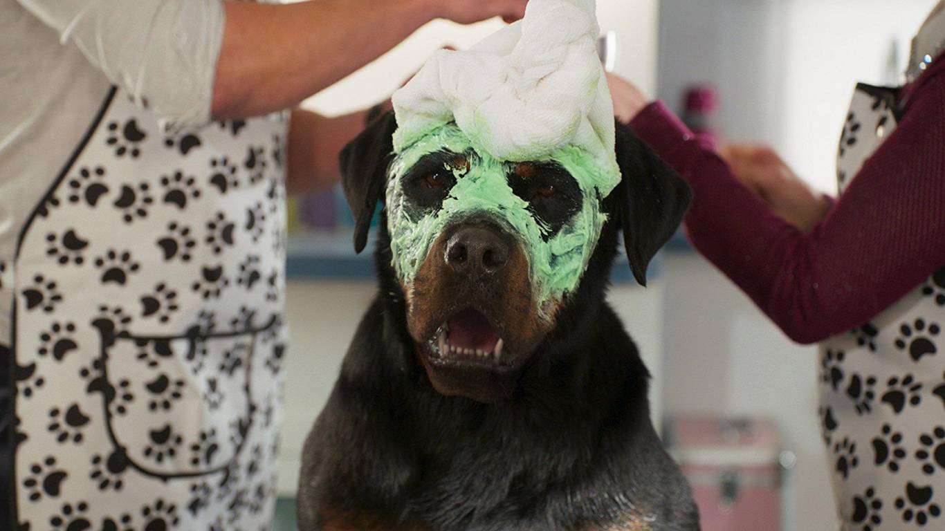 Сімейний фільм Поліцейський пес