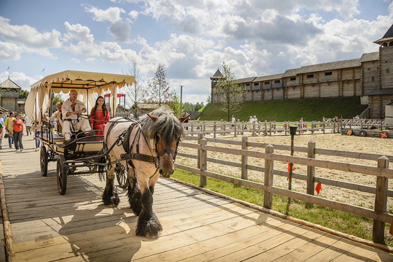 Скіфи - Фестиваль кінних бойових мистецтв
