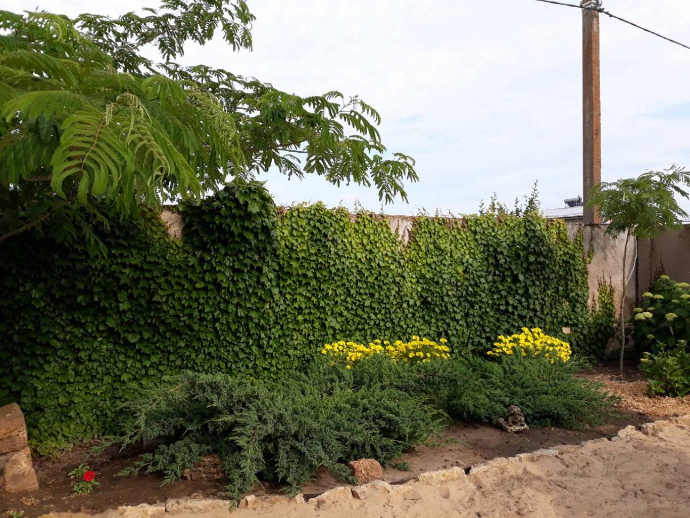 Пансіонат "Платан". Комфортний відпочинок біля моря