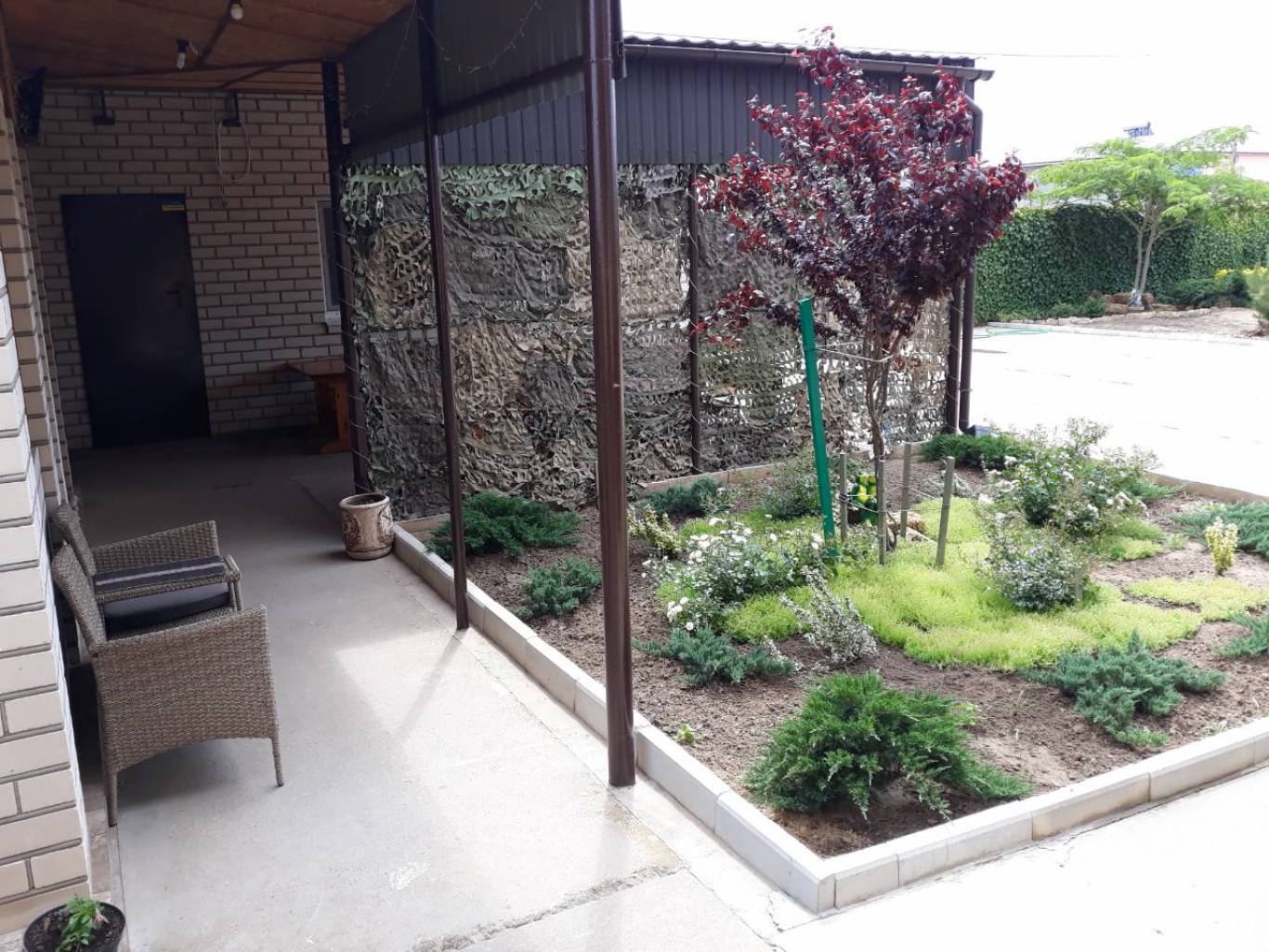 Пансіонат "Платан". Комфортний відпочинок біля моря