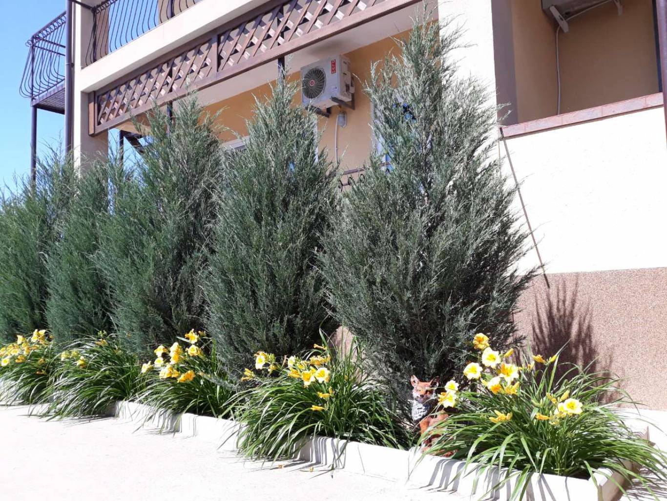 Пансіонат "Платан". Комфортний відпочинок біля моря