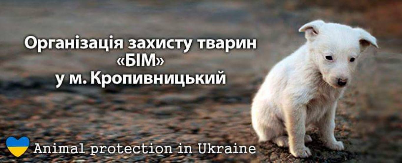 Флешмоб проти вбивства собак