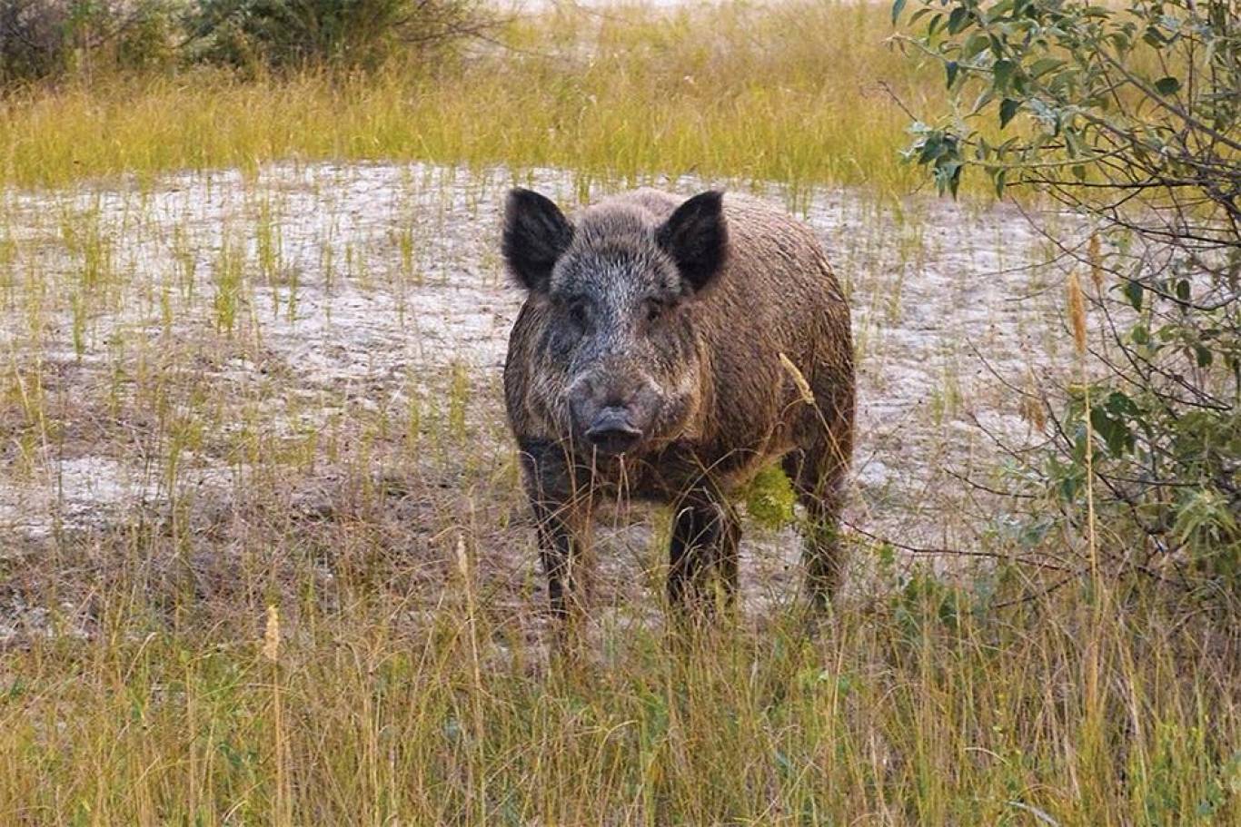 Українські Мальдіви. Похід з Ekvitas на острів ДЖА
