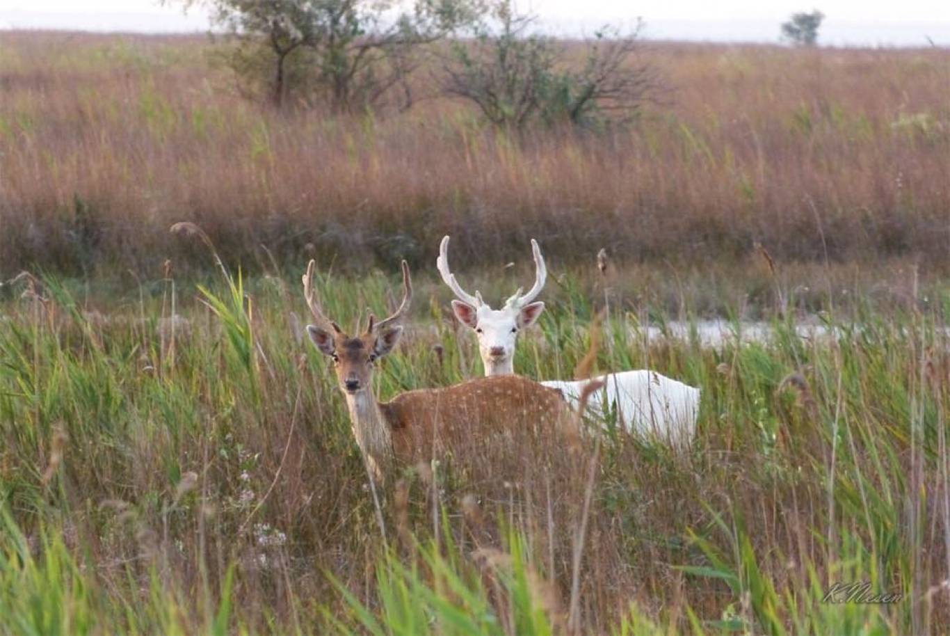 Українські Мальдіви. Похід з Ekvitas на острів ДЖА
