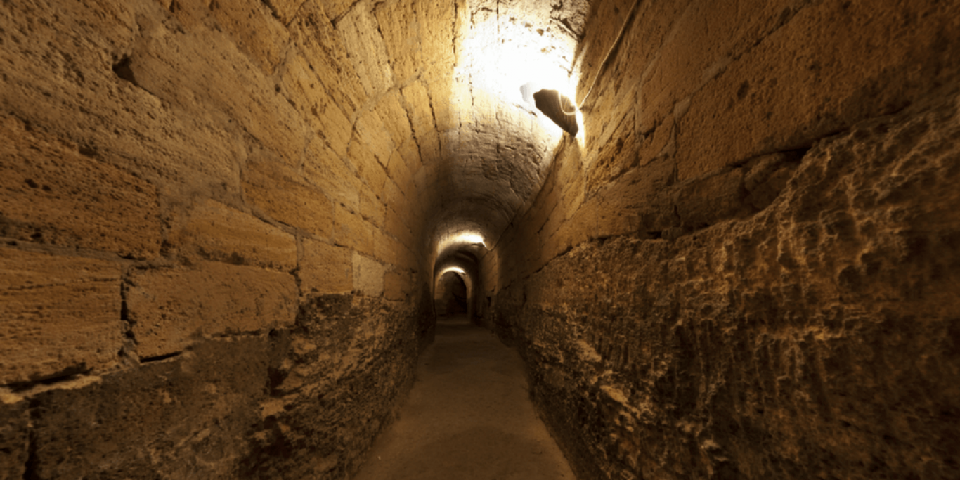 Экскурсии гротом Одесского художественного музея