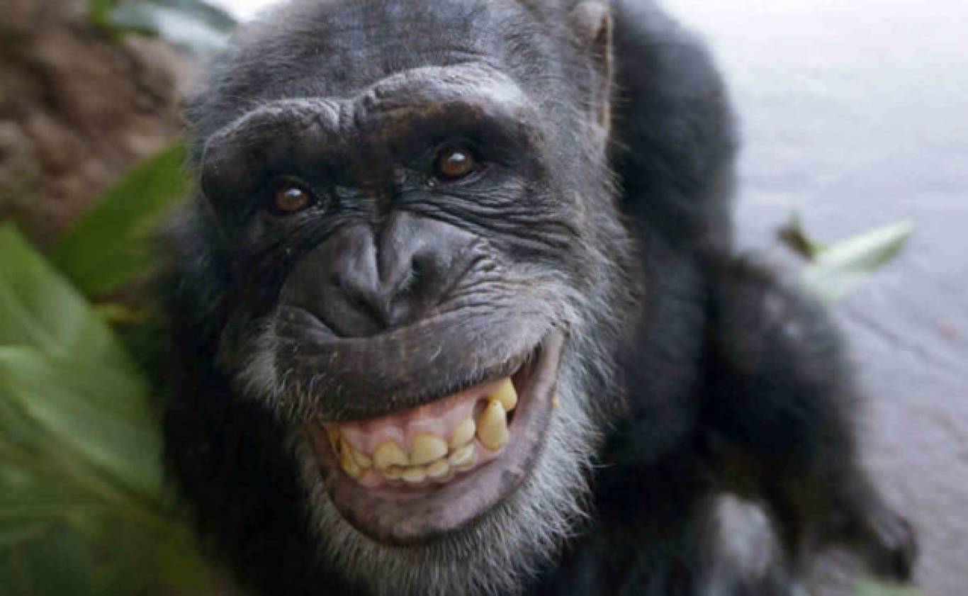 Івана Купала у Вінницькому зоопарку