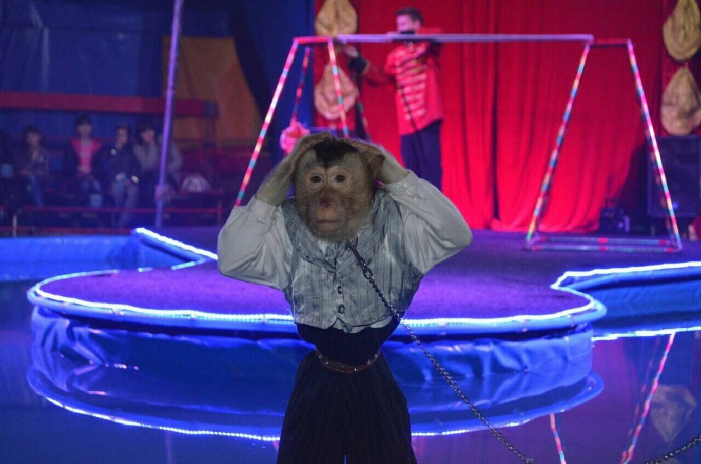 Цирк Рів'єра Fantastics Dreams у Хмельницькому