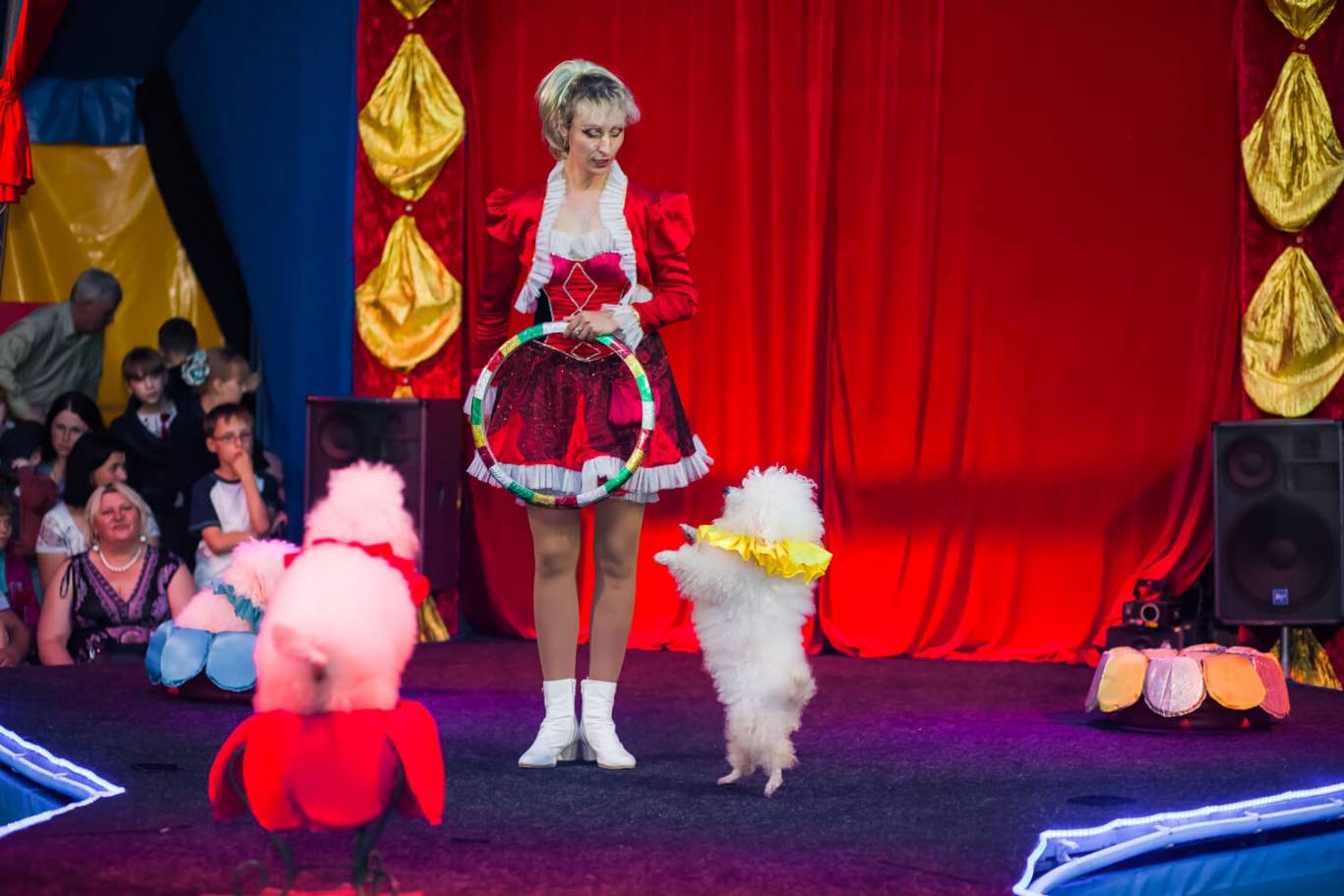 Цирк Рів'єра Fantastics Dreams у Хмельницькому