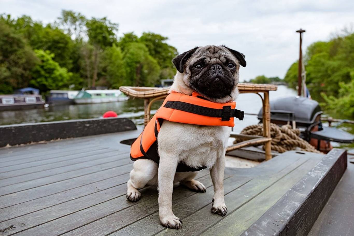 Семейный фильм Патрик