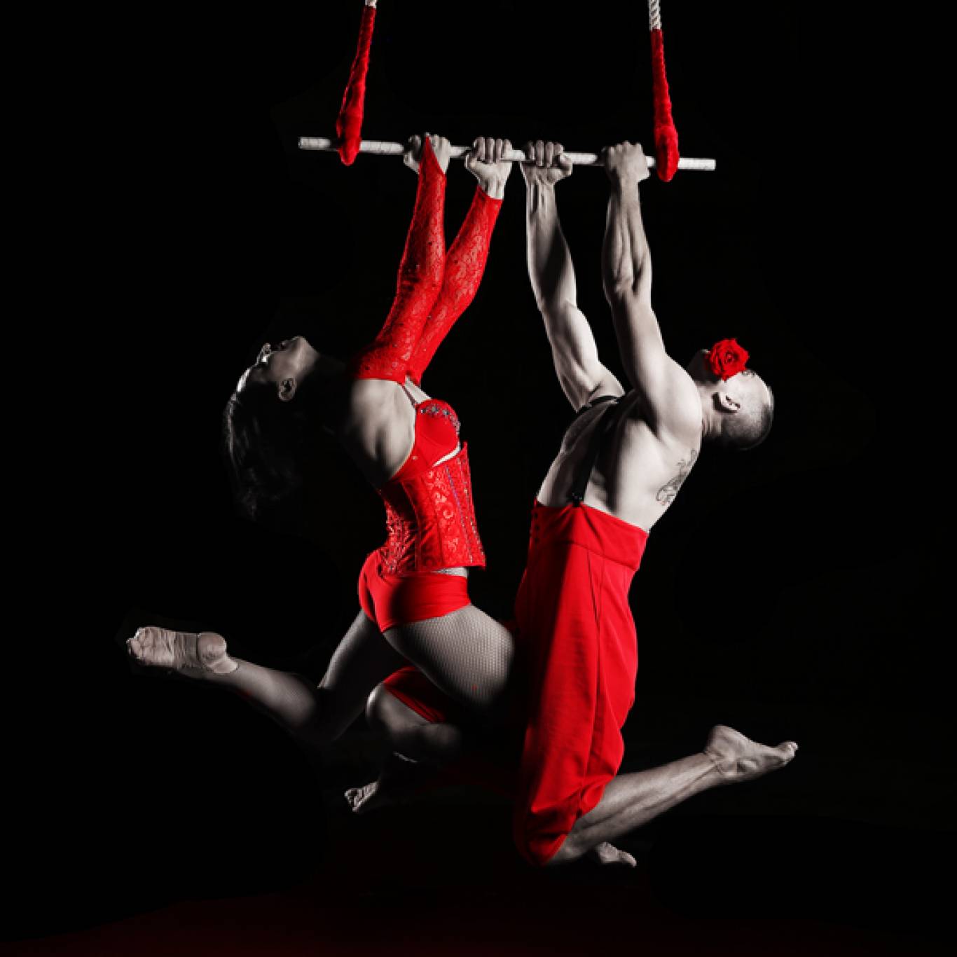 LED ШОУ 50 оттенков страсти