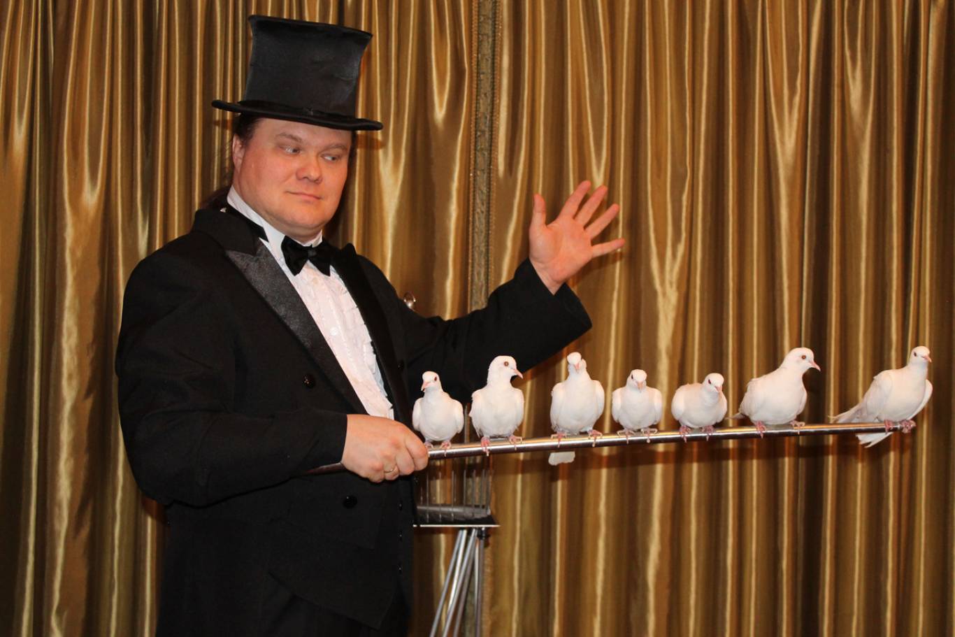 Майстри ілюзії та оркестр - Магічне шоу