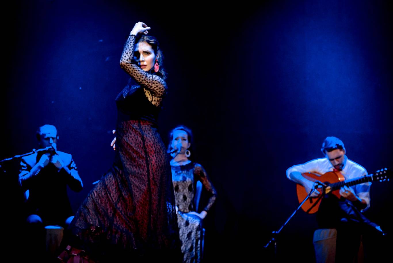 FlamencoLive с программой «Hoffmann Flamenco Dreams»
