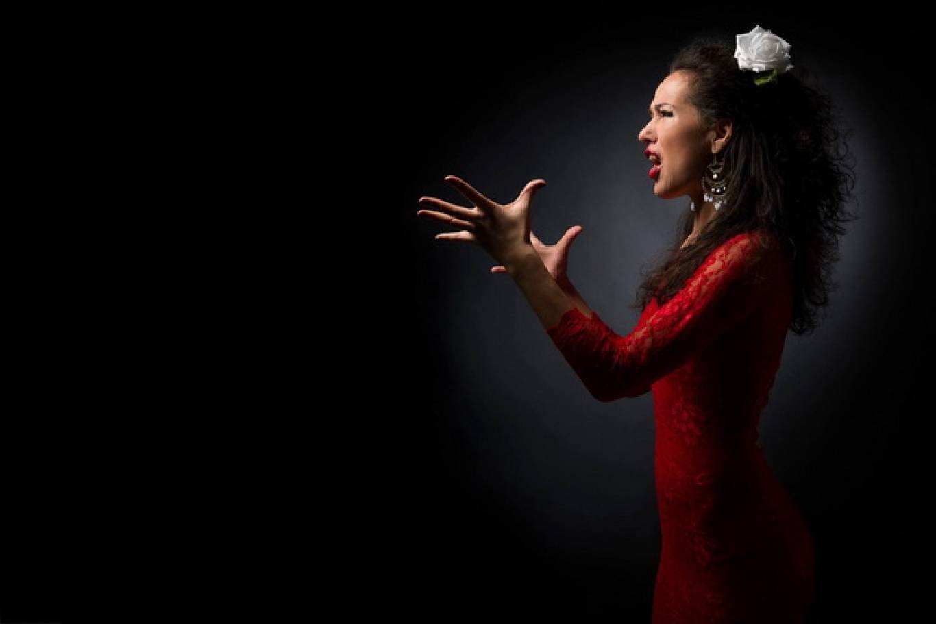FlamencoLive с программой «Hoffmann Flamenco Dreams»