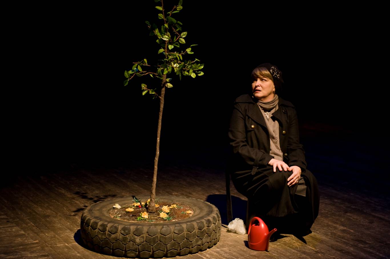 Спектакль «Семейные сцены»