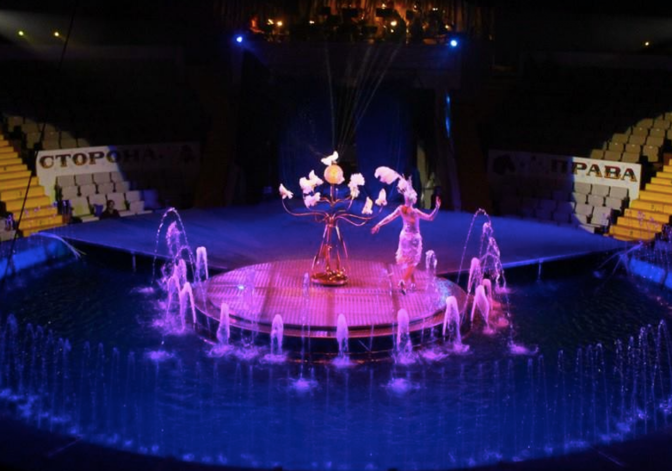 Цирк на воде «Вотерленд»