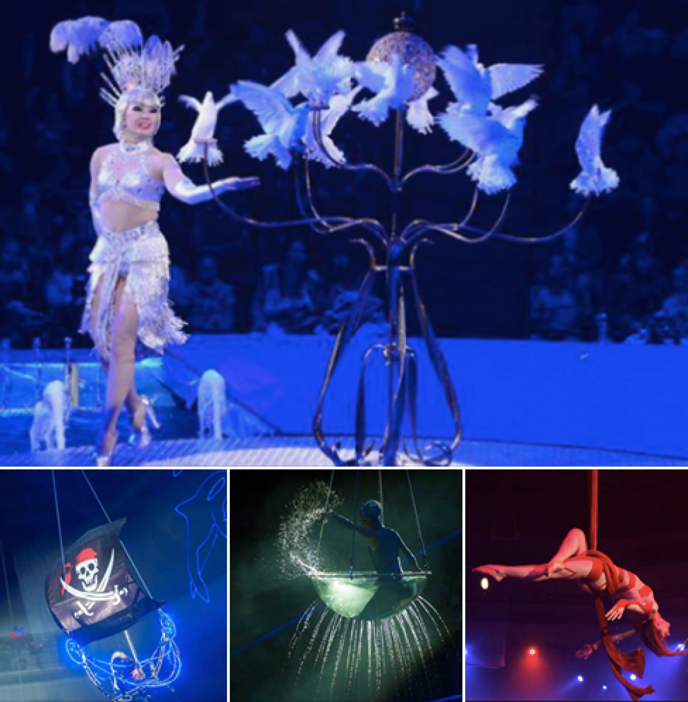 Цирк на воде «Вотерленд»