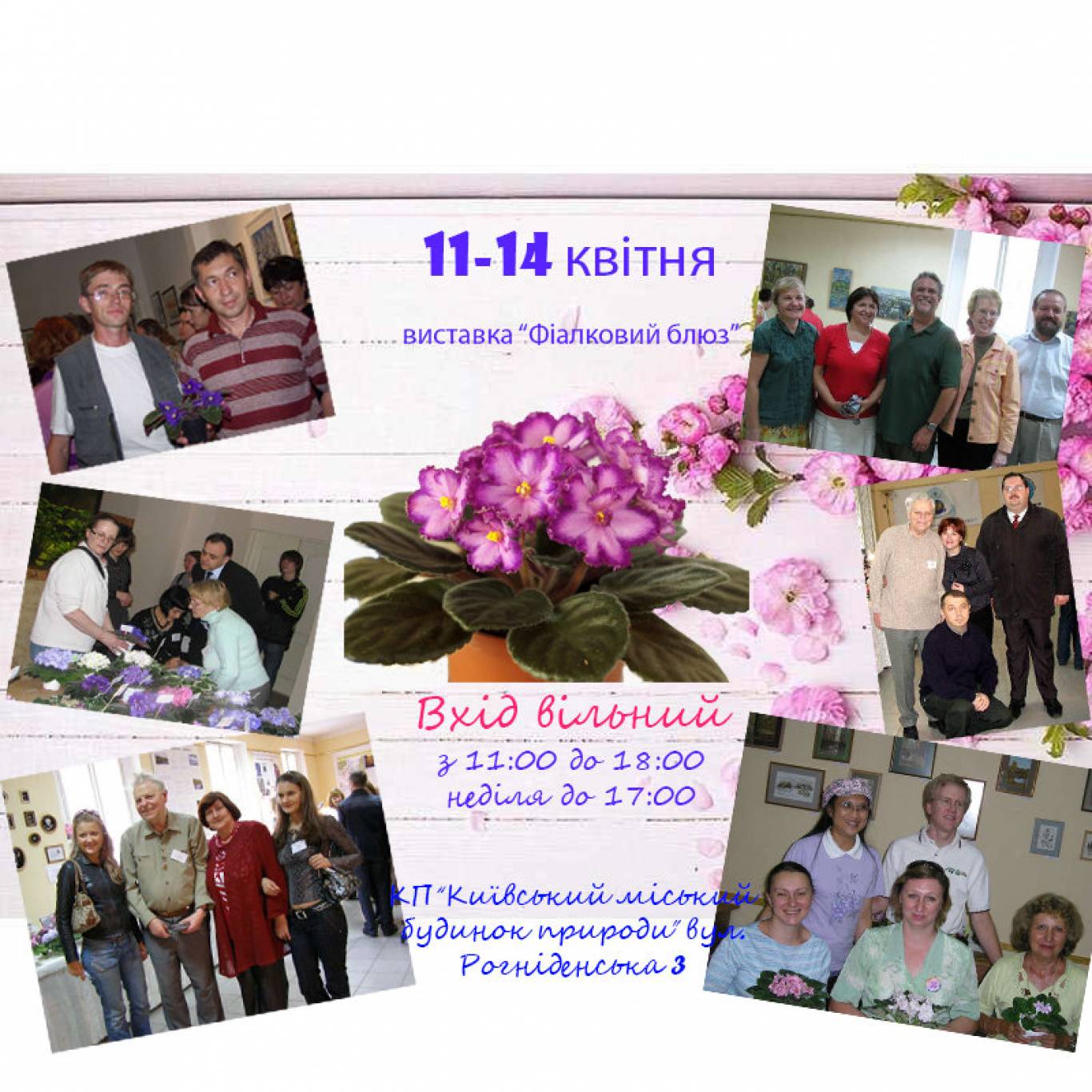 Украина сенпольная форум