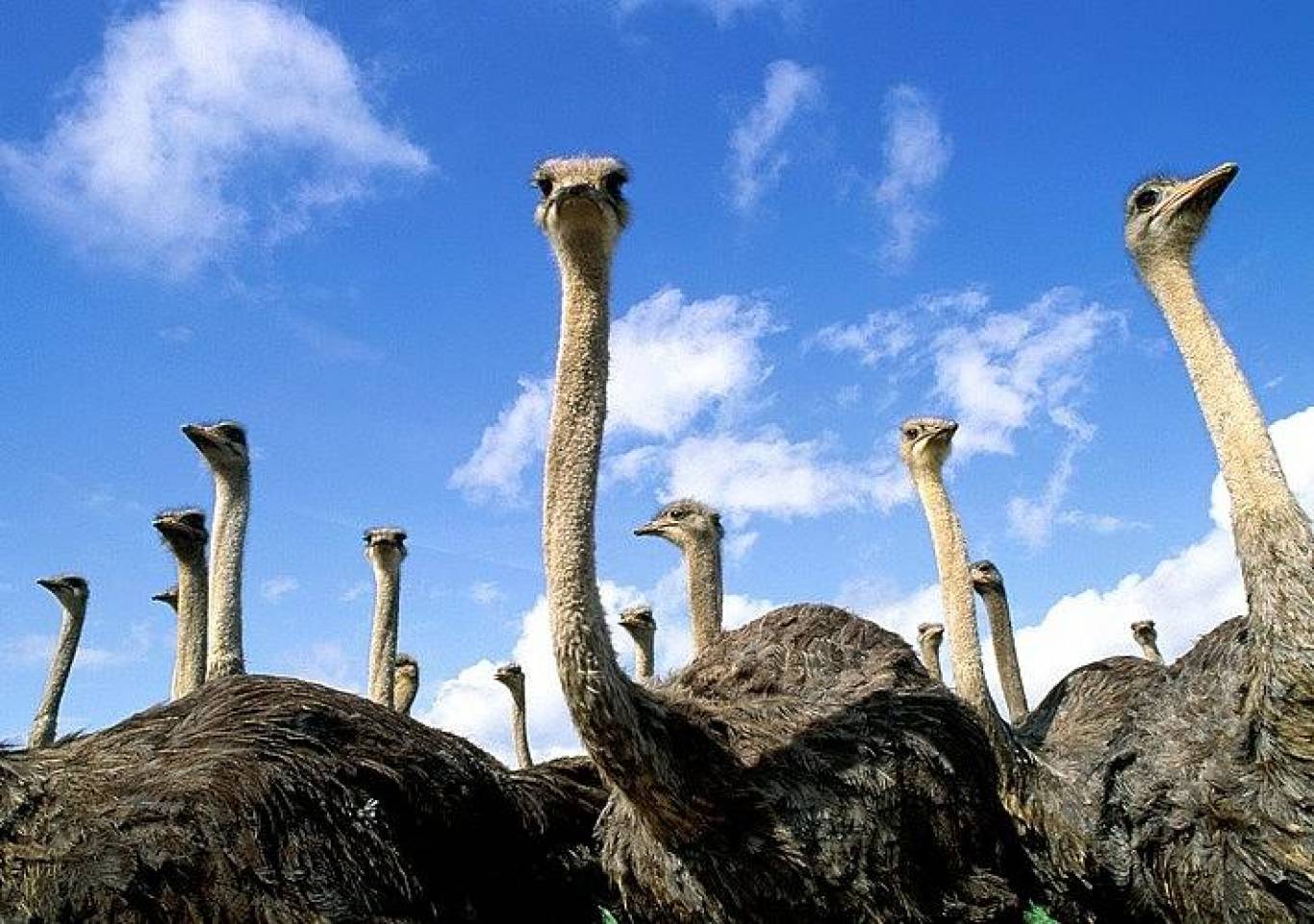 Тур «Белгород-Днестровская крепость и Нью-Васюки»