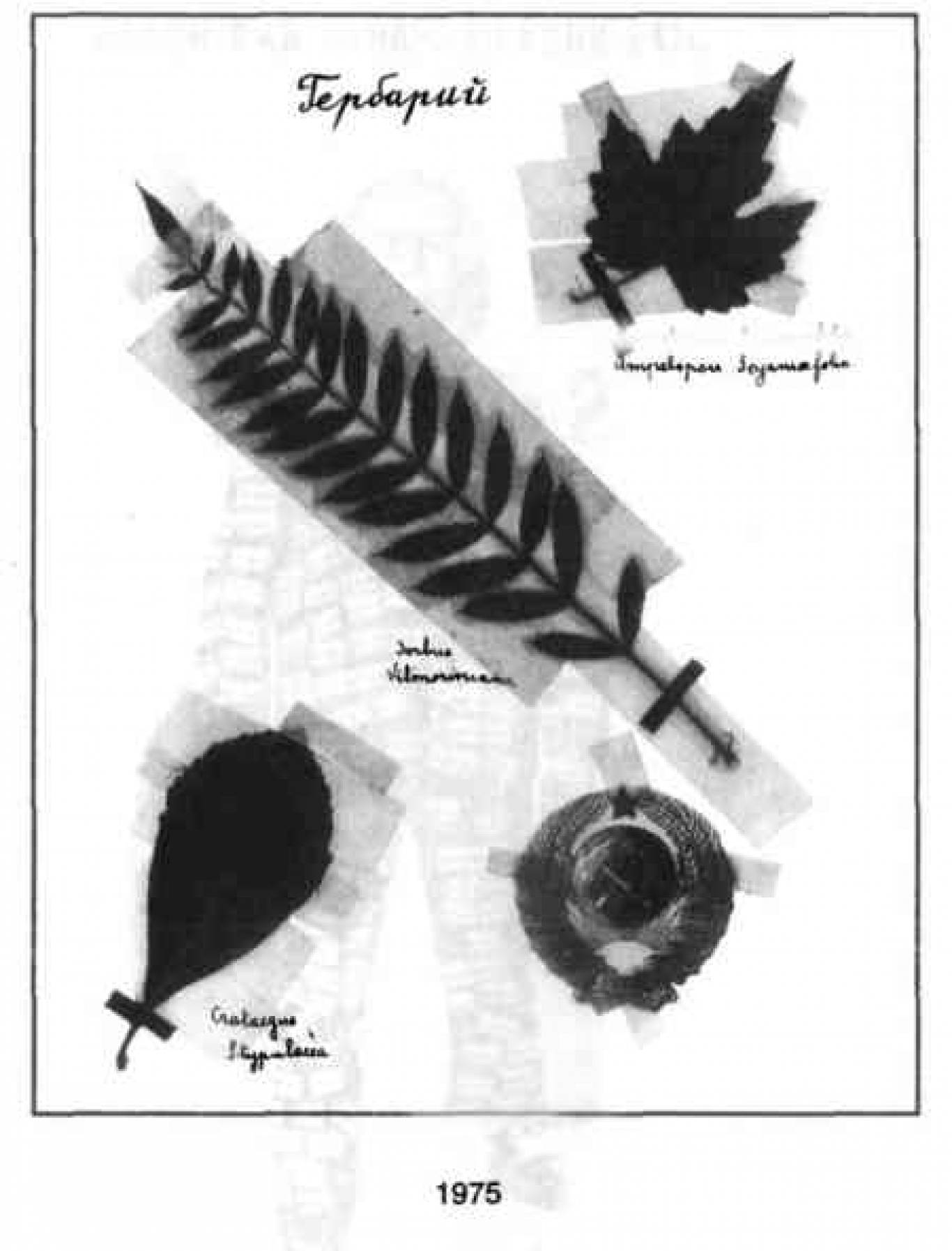 Выставка-коллаж Вагрича Бахчаняна «Мы рождены, чтоб Кафку сделать былью»