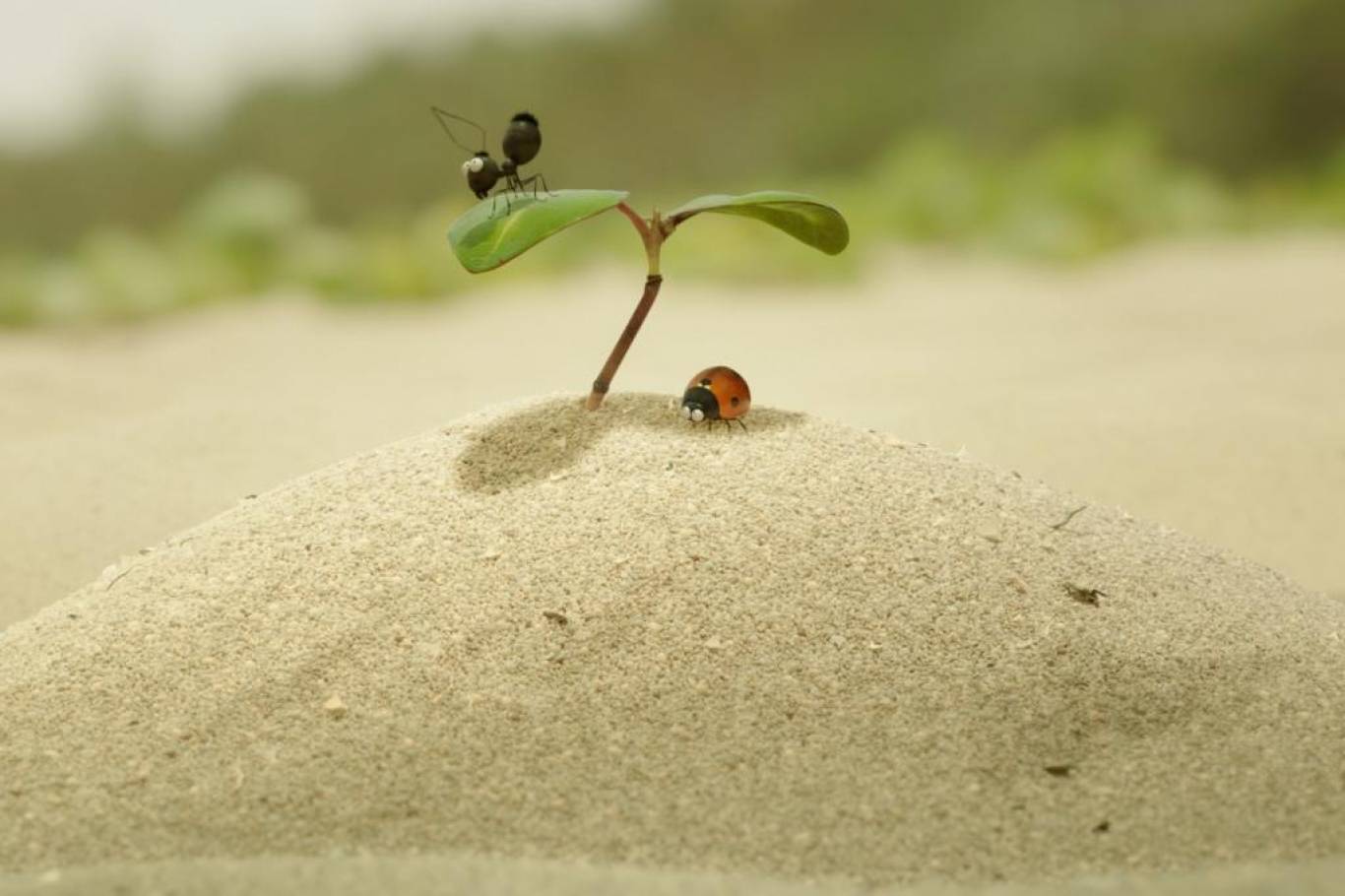 Пригодницький мультфільм Комашки 2. Карибські пригоди!