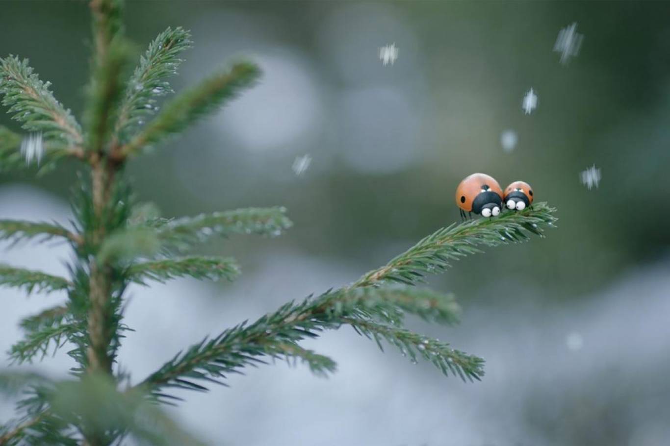 Пригодницький мультфільм Комашки 2. Карибські пригоди!